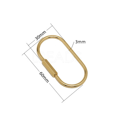 Brass Screw Carabiner Lock Charms KK-ZX025-62C-1