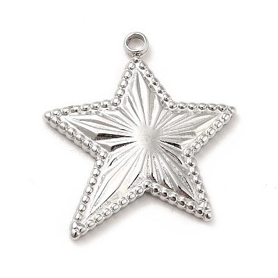 Non-Tarnish 304 Stainless Steel Pendants STAS-P312-14P-1