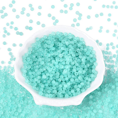 FGB Frosted Transparent Glass Seed Beads SEED-N013-04A-10-1