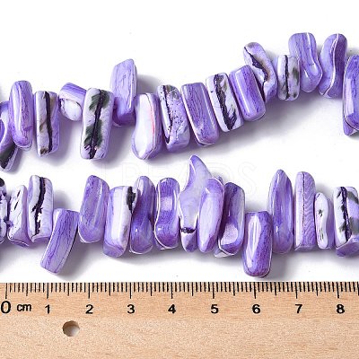 Dyed Natural Trochus Shell Beads Strands SSHEL-C013-09N-1