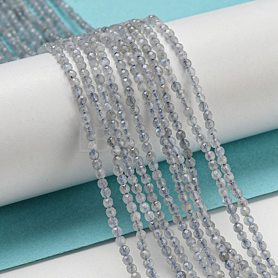 Natural Labradorite Beads Strands G-A097-A07-01-1