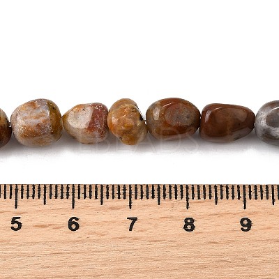 Natural Petrified Wood Beads Strands G-L621-C11-01-1