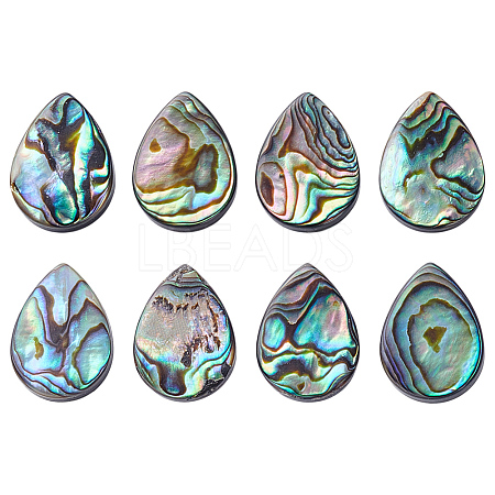 8Pcs Natural Abalone Shell/Paua Shell Beads SHEL-HY0001-18-1