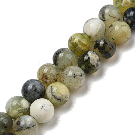 Natural Green Opal Beads Strands G-R494-A11-03-1