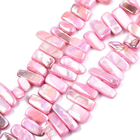 Natural Freshwater Shell Beads Strands SHEL-N026-123B-1