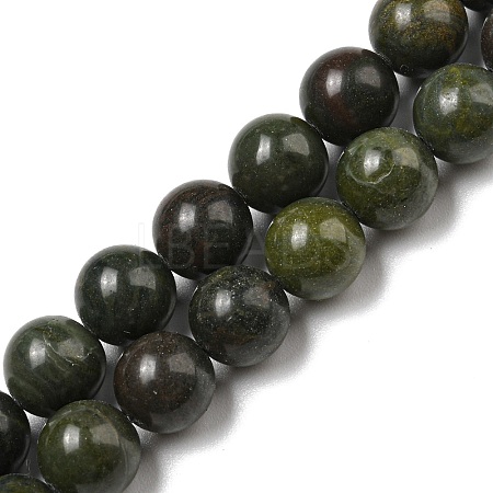 Natural African Green Autumn Jasper Beads Strands G-R494-A19-03-1