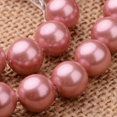 Polished Round Grade A Shell Pearl Bead Strands BSHE-M027-6mm-13-1