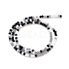 Glass Beads Strands GLAA-F106-B-15-2