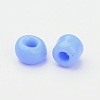 8/0 Glass Seed Beads SEED-US0003-3mm-43B-2