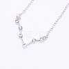 Alloy Rhinestone Pendants Necklaces NJEW-WH0007-02B-2