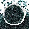 Glass Seed Beads SEED-L011-02A-06-2