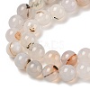 Natural Dendritic Agate Beads Strands G-A248-A07-02-4