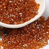 Spray Painted Glass Seed Beads SEED-F005-05A-02-1