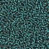 MIYUKI Round Rocailles Beads X-SEED-G007-RR0030-3