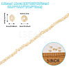 1 Strand Natural Trochus Shell Rondelle Beads Strands SSHEL-TA0001-16B-3