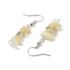 Natural Mixed Stone Dangle Earrings EJEW-JE06154-01-4