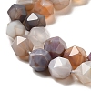 Natural Botswana Agate Beads Strands G-K382-A14-02-4