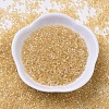 MIYUKI Delica Beads SEED-X0054-DB0100-2
