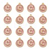 Golden Plated Alloy Enamel Charms X-ENAM-S118-07C-2
