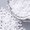 11/0 Grade A Round Glass Seed Beads SEED-N001-A-743-1