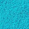 MIYUKI Round Rocailles Beads SEED-X0055-RR4480-3
