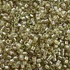 MIYUKI Delica Beads X-SEED-J020-DB1766-3