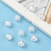 Transparent Acrylic Beads TACR-S089-10mm-01-6