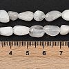 Natural Rainbow Moonstone Beads Strands G-G018-48-01-3