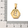 304 Stainless Steel Charms STAS-H227-01G-B-3