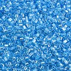 Glass Bugle Beads SEED-S032-11A-103-3