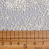11/0 Grade A Ceylon Glass Seed Beads X-SEED-N001-B-0481-3