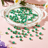 Picasso Glass Seed Beads SEED-TADJ0001-05F-4