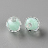 Transparent Acrylic Beads TACR-S152-04A-2