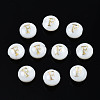 Natural Freshwater Shell Beads SHEL-S278-036F-1
