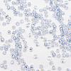 6/0 Transparent Glass Round Seed Beads SEED-J010-F6-32-3