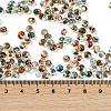6/0 Spray Paint Fringe Glass Seed Beads SEED-H003-11G-4