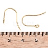 316 Surgical Stainless Steel Earring Hooks STAS-P162-13G-B01-3