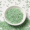 6/0 Opaque Colours Seep Glass Seed Beads SEED-F003-04A-06-2