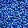 TOHO 6/0 Round Beads SEED-TR06-0043D-4