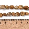Natural Picture Jasper Beads Strands G-C286-A07-5