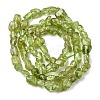 Natural Peridot Beads Strands G-H346-A01-01-3