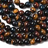 Natural Tiger Eye Beads Strands G-F173-14-10mm-2