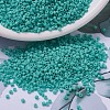 MIYUKI Delica Beads SEED-X0054-DB0759-1