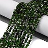 Natural Diopside Beads Strands G-G188-B14-02-2