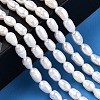 Natural Cultured Freshwater Pearl Beads Strands PEAR-N012-04N-6