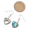 Abalone Shell/Paua Shell Dangle Earrings EJEW-JE06208-3