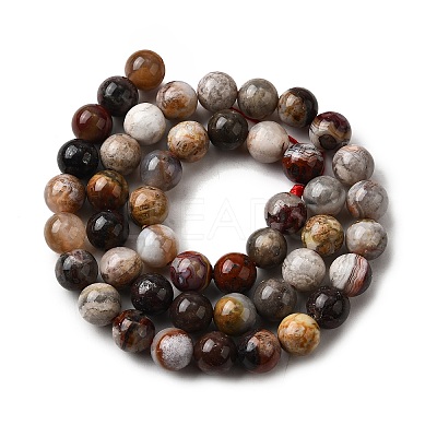 Natural Mexico Crazy Agate Beads Strands G-L615-A01-03-1