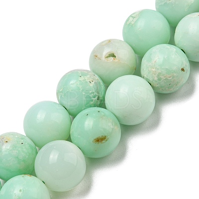 Grade A Natural Chrysoprase Beads Strands G-R494-A02-04-1