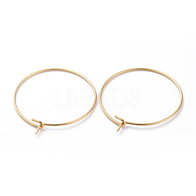 316 Surgical Stainless Steel Hoop Earring Findings X-STAS-J025-01C-G-1