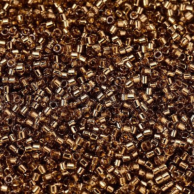 MIYUKI Delica Beads X-SEED-J020-DB2524-1